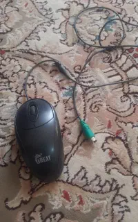 موس سالم
