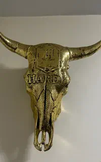 دیوارکوب سر گاو