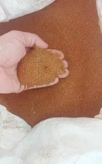 خاکشیر