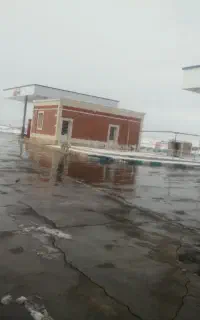 استخدام نیروی داءمی کار.