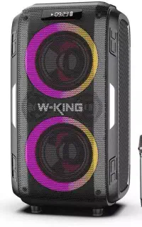 اسپیکر W-KING