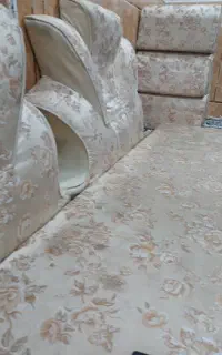 تشک و پشتی