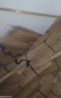جارو دستی