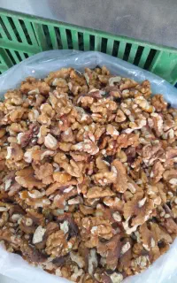 مغز گردو