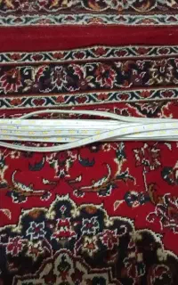 ریسه شلنگی
