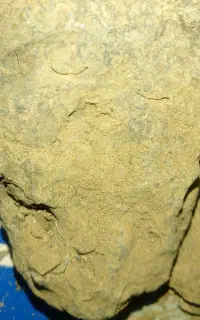 خاک و سنگ طلا کیلوئی ۵ میلیون تومان