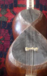 تار مصراب خورده خوش صدا