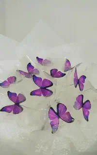دسته گل پروانه