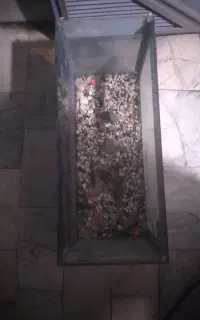 آکواریوم