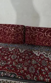 پشتی
