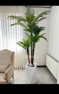نخل