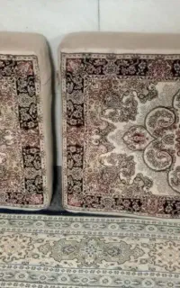 ی جفت پشتی