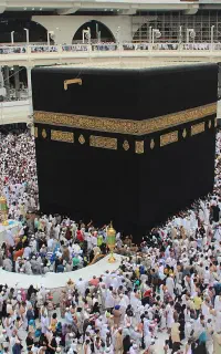 دو عدد فیش حج عمره
