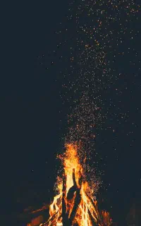 مقدار زیادی چوب  از یک متر تا سه