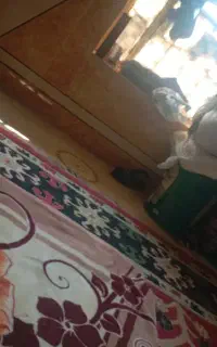 ۳۰عددکود شیمیایی موجود هردونه ۳۲۰۰سه میلون دویس