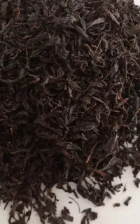 چای بهاره لاهیجان
