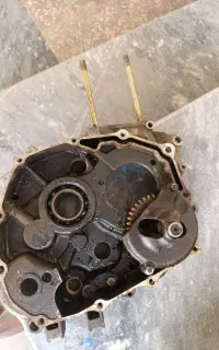 کارتل وسط هوندا