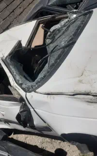 پرشیا چپی