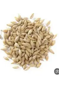 فروش جو