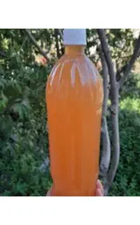 آبغوره طبیعی