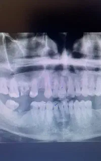 دندانپزشکی