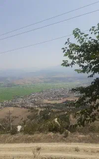 کارگر مرغداری