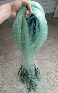 سلیه ماهیگیری