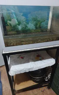 آکواریوم