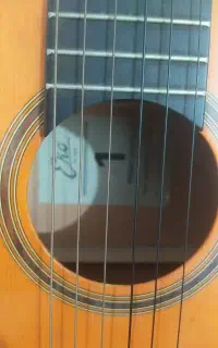 گیتاردر حد نو