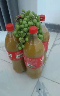 آبغوره طبیعی
