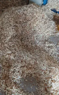 پوشال مرغداری