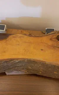 اسلب اقاقیا