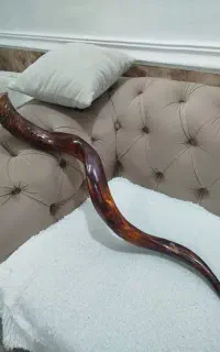 شیپور طرح شاخ سیتا
