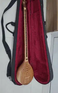 سه تار حرفه ای سرپنجه طاووسی