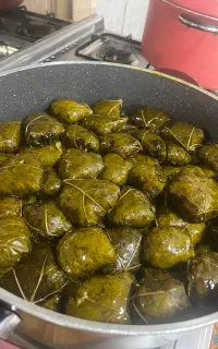 غذای سالم خونگی