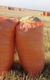 کاه گندم دیم