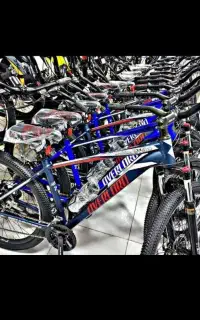 colnago** امـ پراطـ ور)انواع دوچـ رخه  ارسال داریم