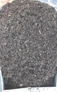 چای بهاره املش