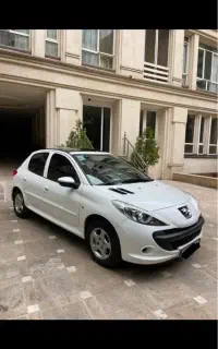 ۲۰۷ پاناروما مدل ۱۴۰۲ درحد خشک