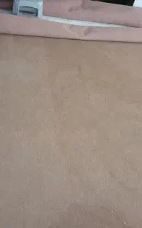 موکت