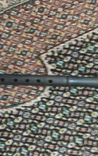 نی محرم