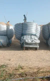 فروش کاه