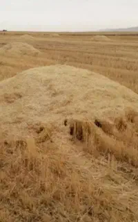 ۲۰ انبار کاه