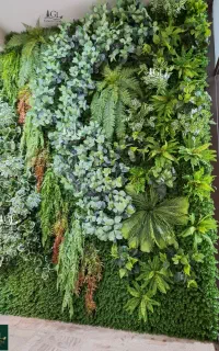 قاشقی(سبز و ابلق)دیوارسبز حیاط خلوت(گرین وال)
