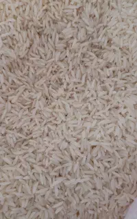 برنج اصل هاشمی
