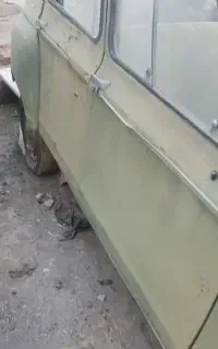 ژیان