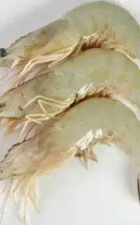 ماهی و میگو