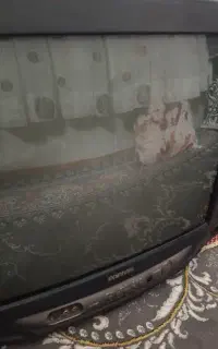سامسونگ 21 اینچ