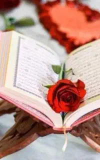 با سلام تک نیت کلی