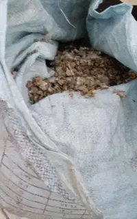 سلام  یک گونی کودکبوتر۳۵تا۴۰ کیلو میشه
